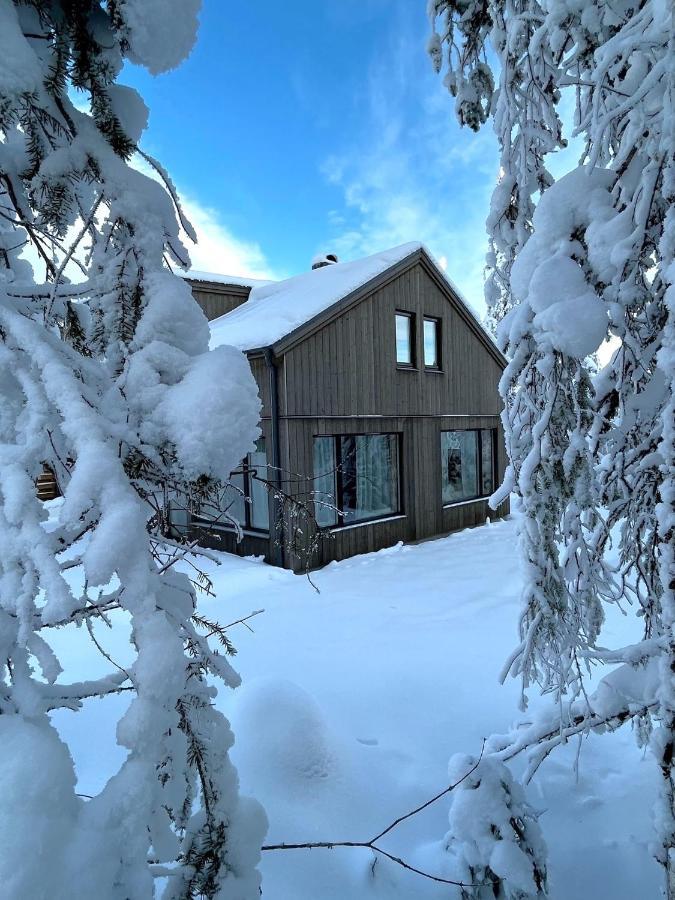 Martebaecken 19 Villa ซาเลน ภายนอก รูปภาพ